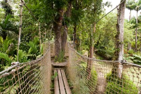 Pont suspendu au Jardin de Balata